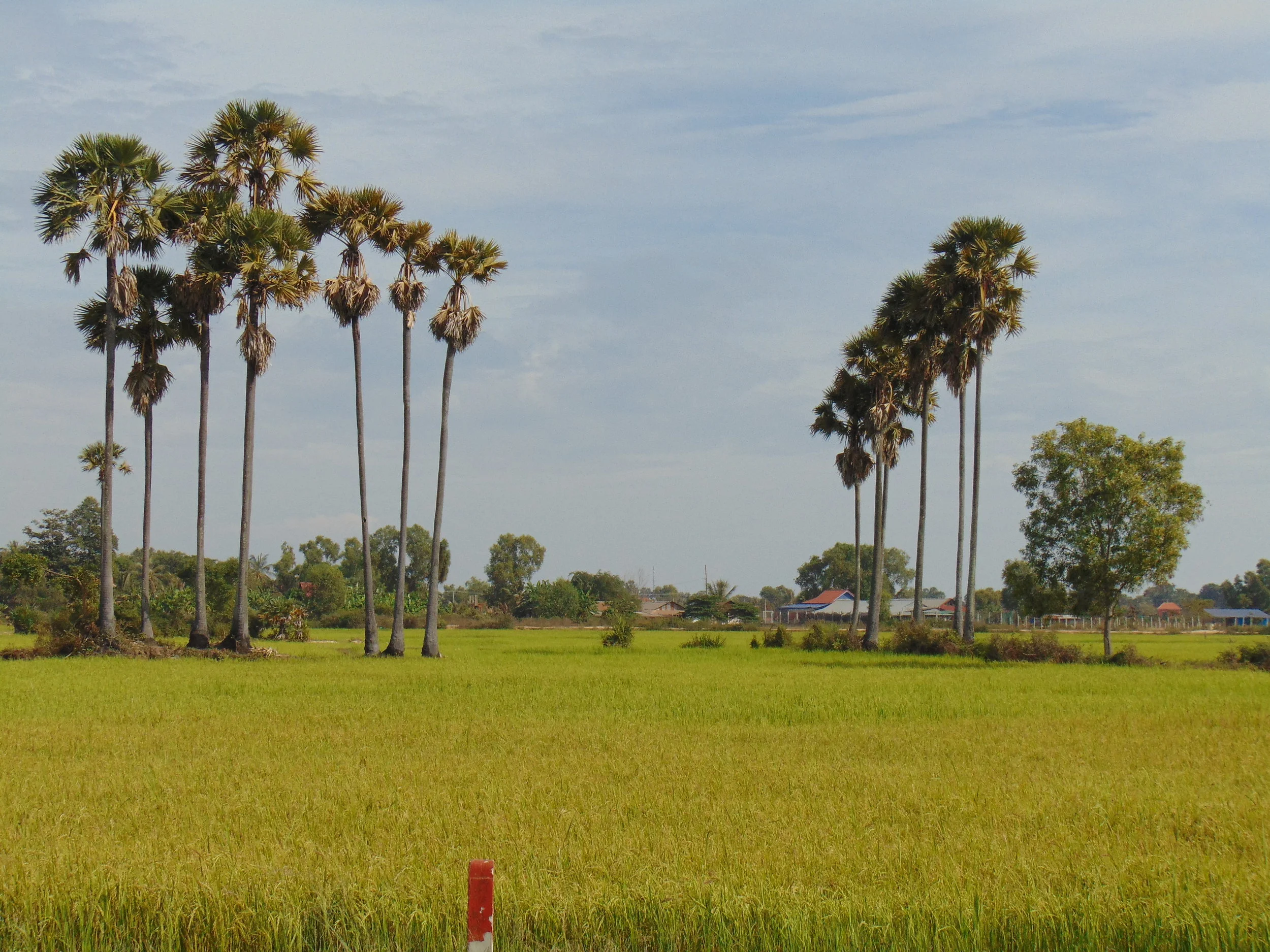 insight tours 042.JPG