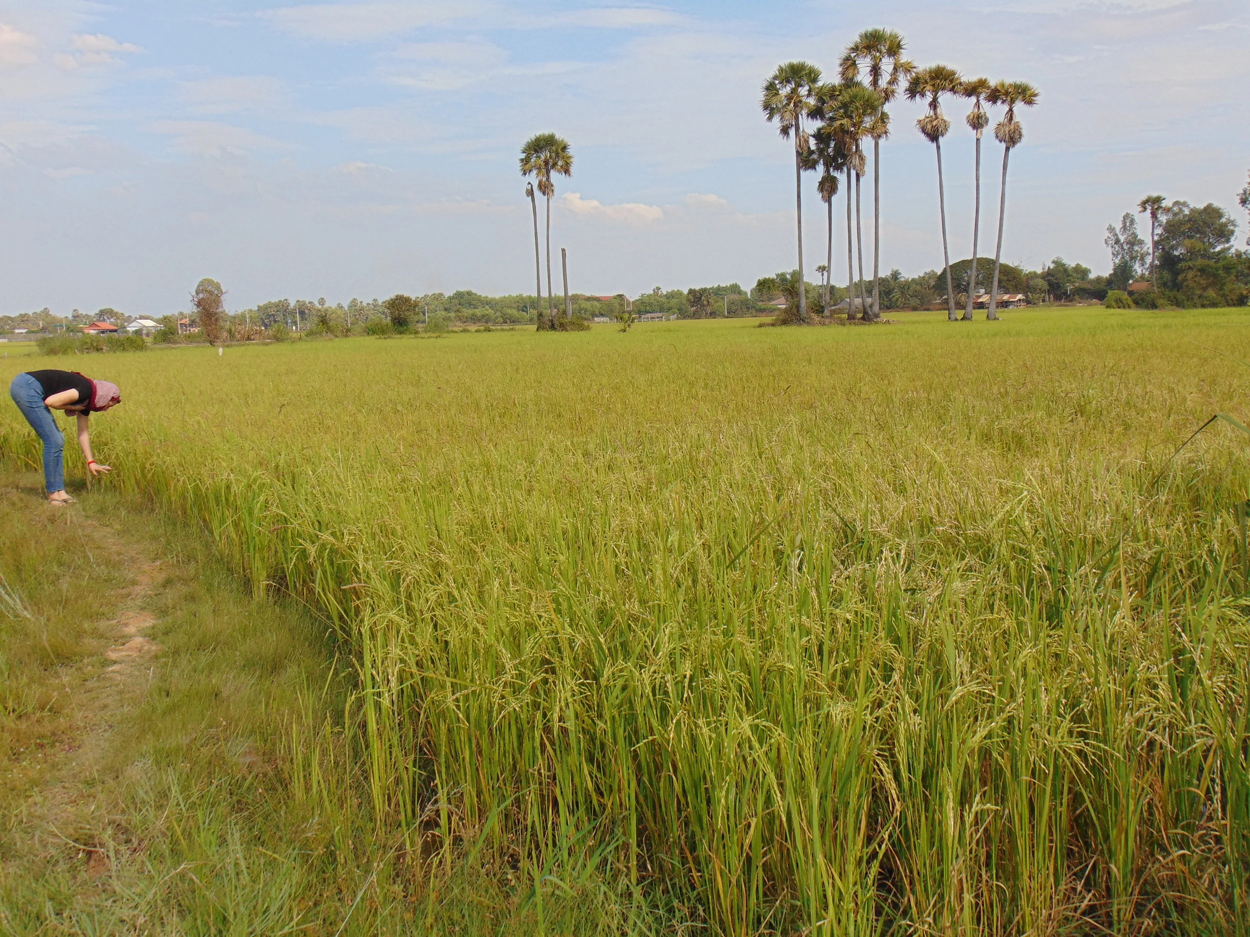 insight tours 023.JPG