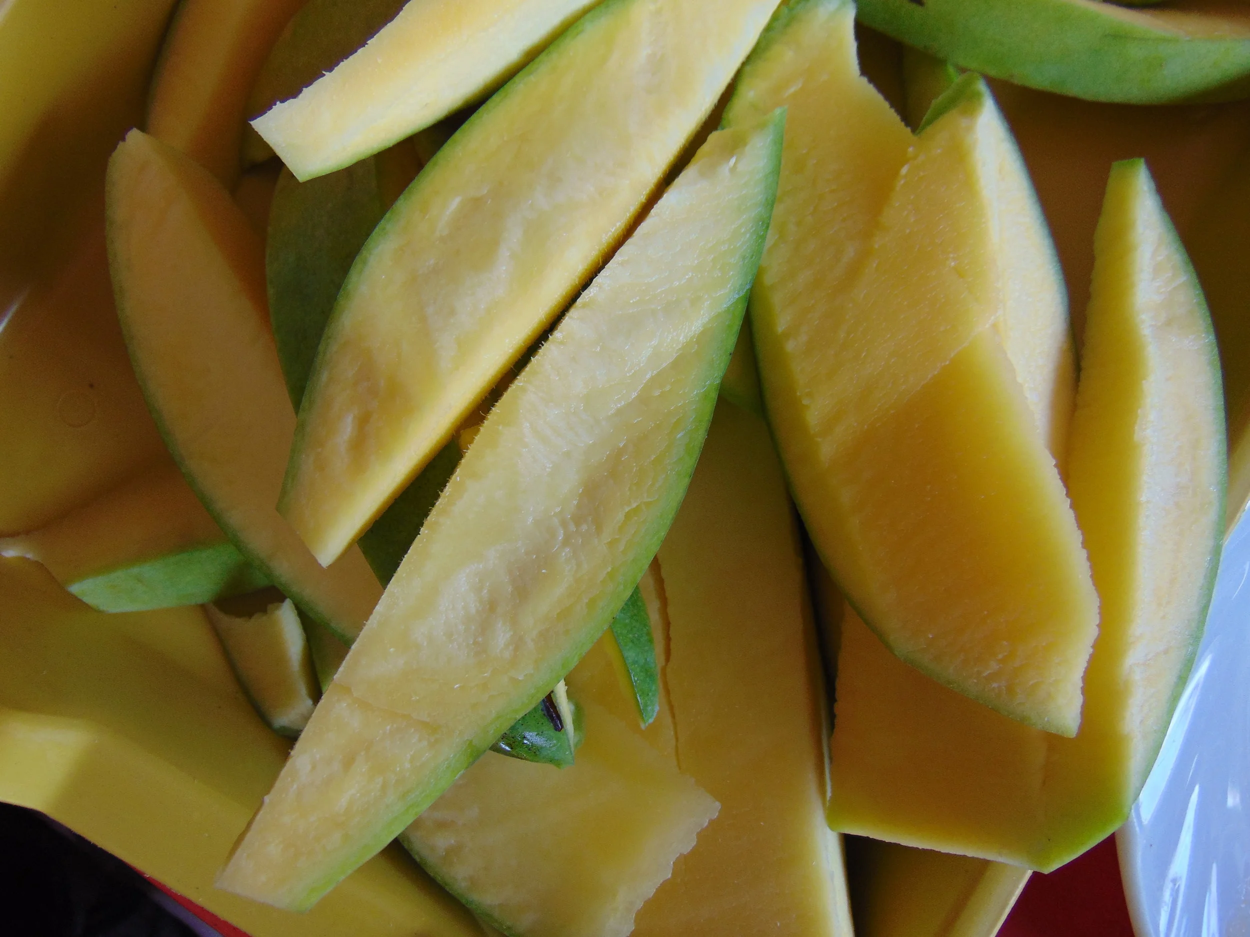 insight tours 002 (3).JPG