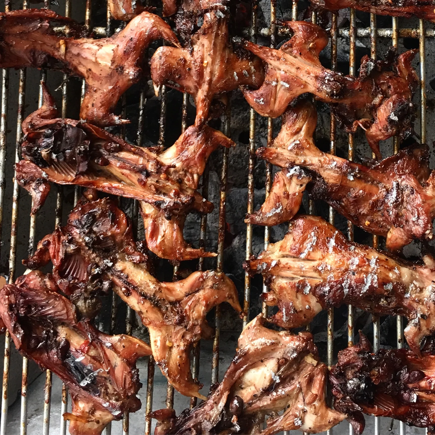 Believe it or not— this grilled rat, caught in the rice fields just before harvest season, is my new favorite food. Just add pepper-lime sauce