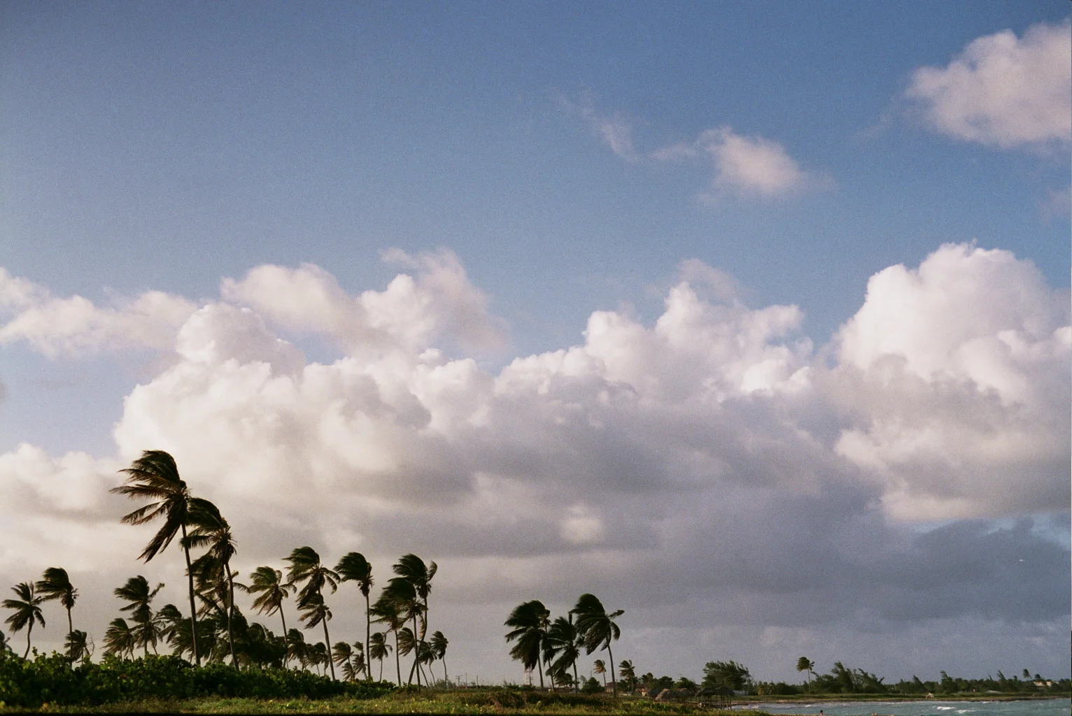 22A_0214.jpg