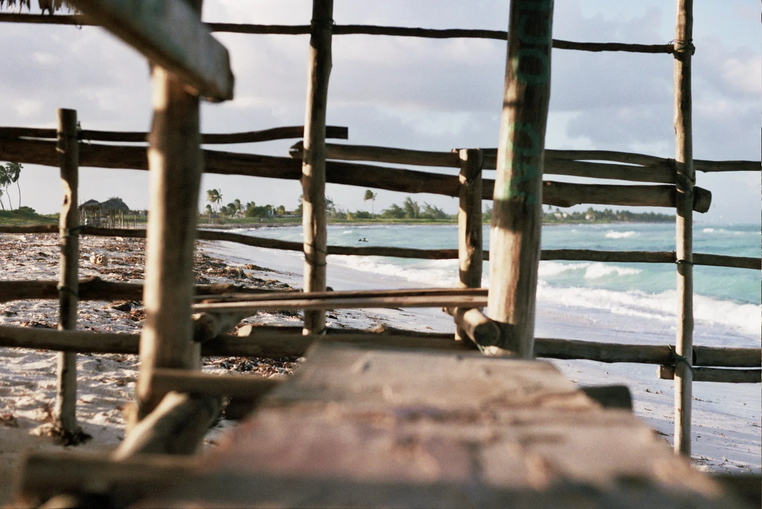 24A_0216.jpg