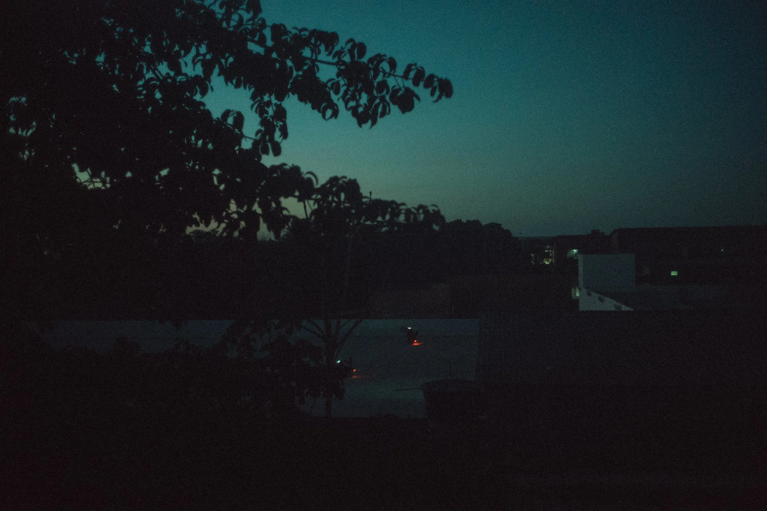 L1000938.jpg
