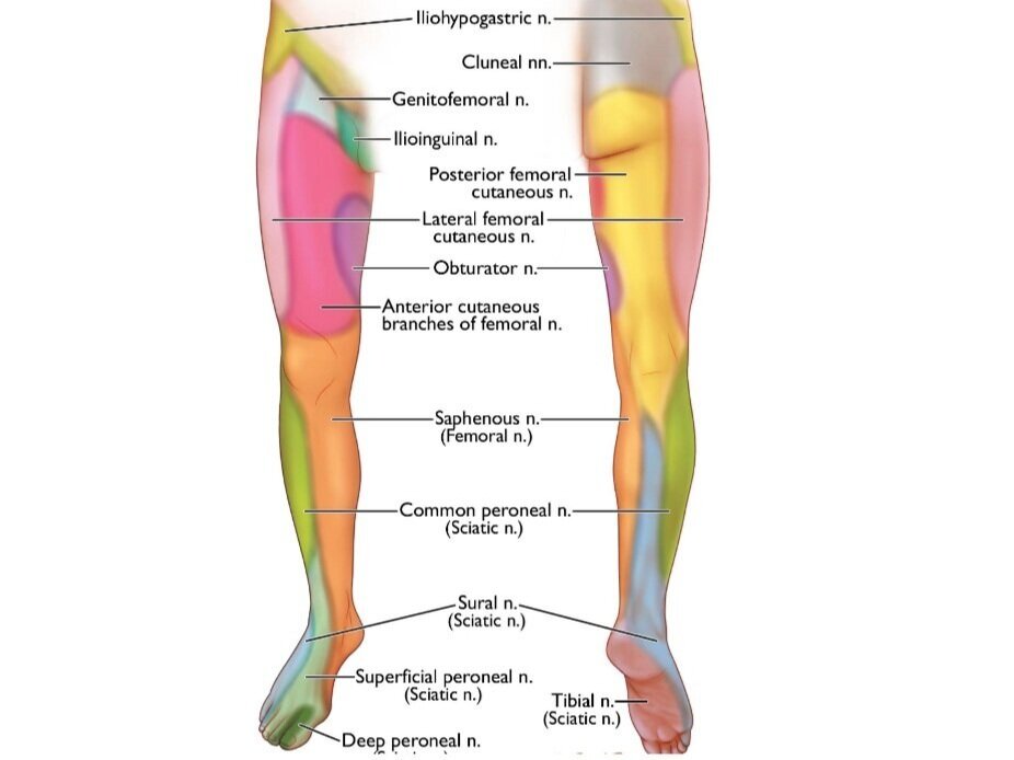 Limb Pain Specialist In Tampa Florida Acute Pain Ketamine Clinic