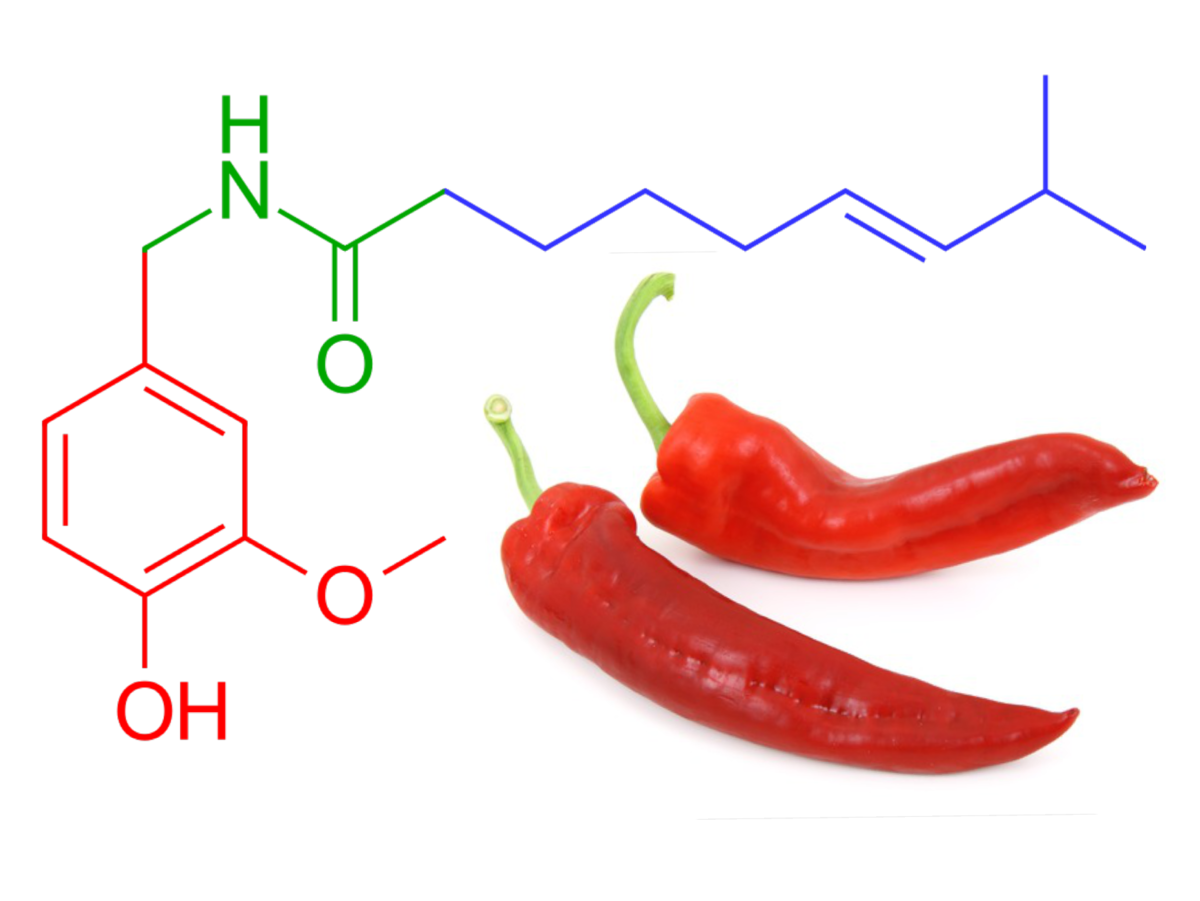 1200px-Capsaicin_peppers.png