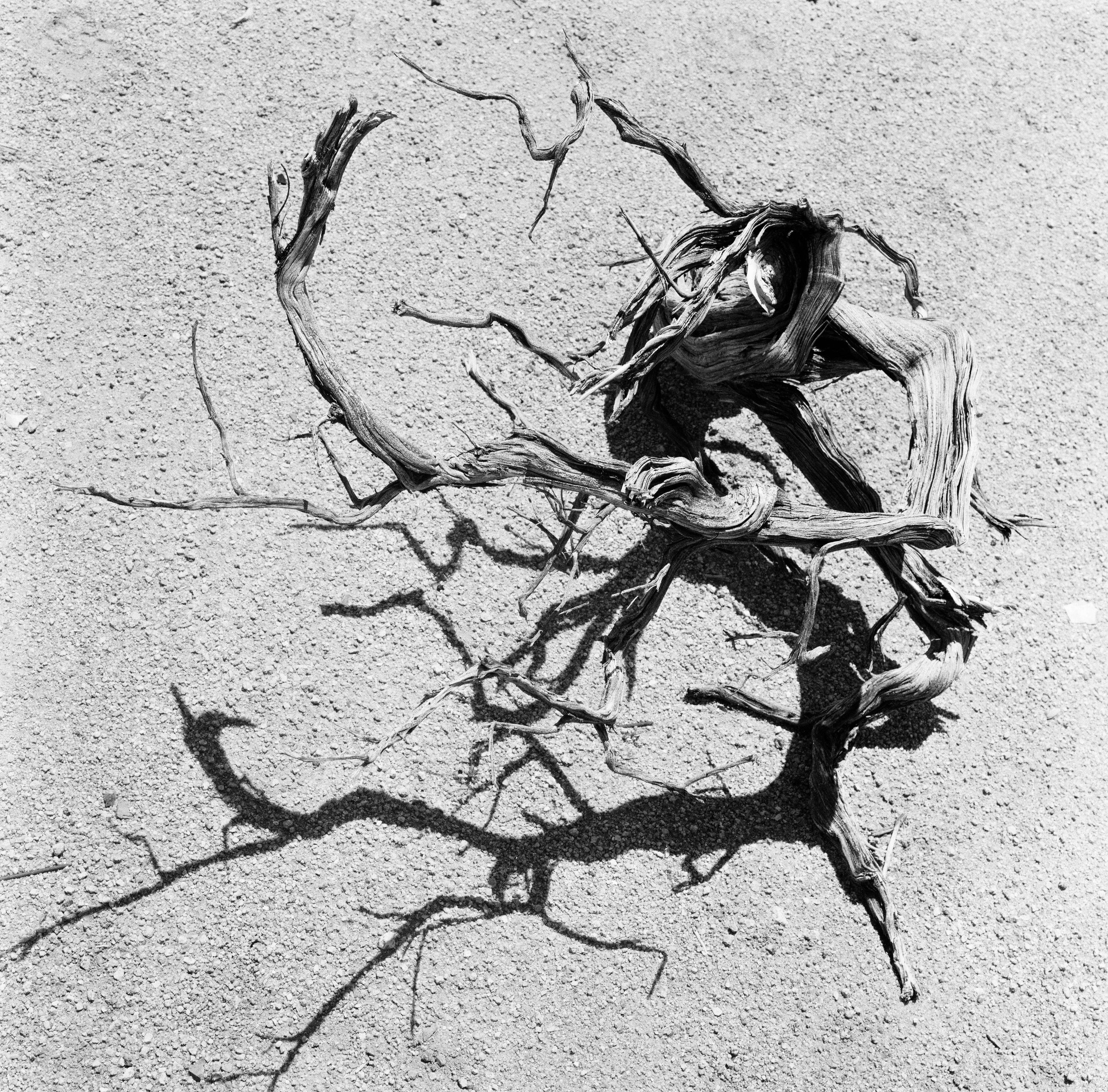 Cail Film-93.JPG