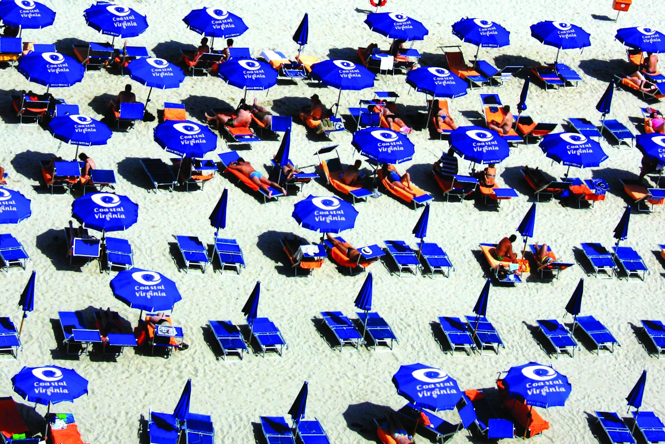 umbrella.jpg
