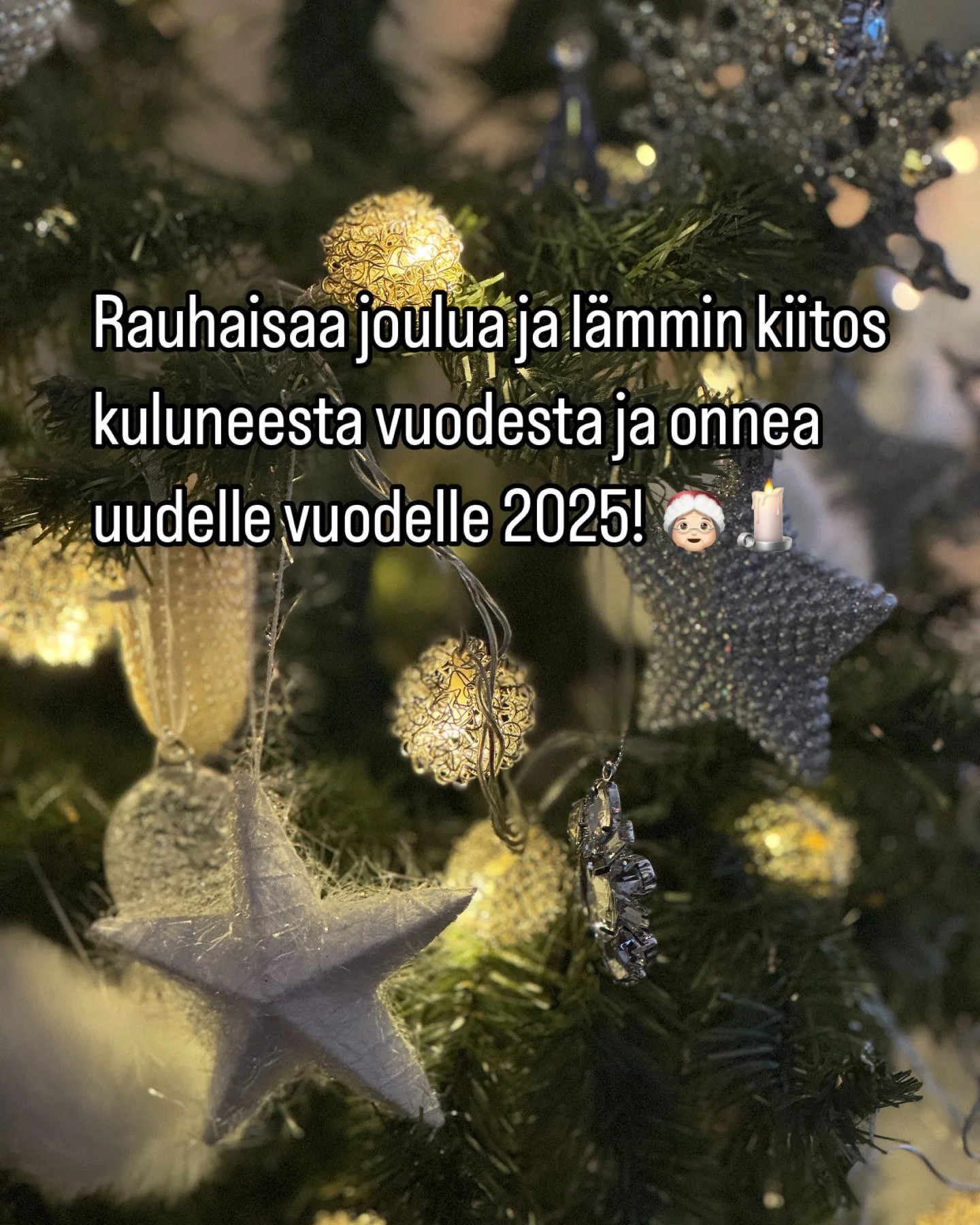 Hyv&auml;&auml; joulua ja onnea uudelle vuodelle 2025! Toivottaa Susu-tonttu