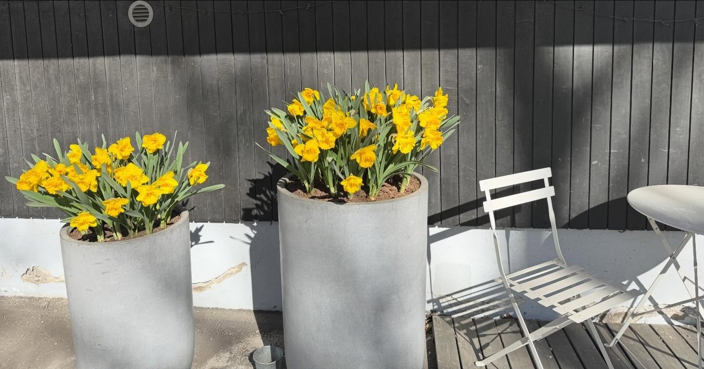 Kes&auml;loma-ajat on nyt mietitty 😎 ja lomailen 18.-29.6. ja toisen p&auml;tk&auml;n 11.-28.7. ☀️☀️☀️