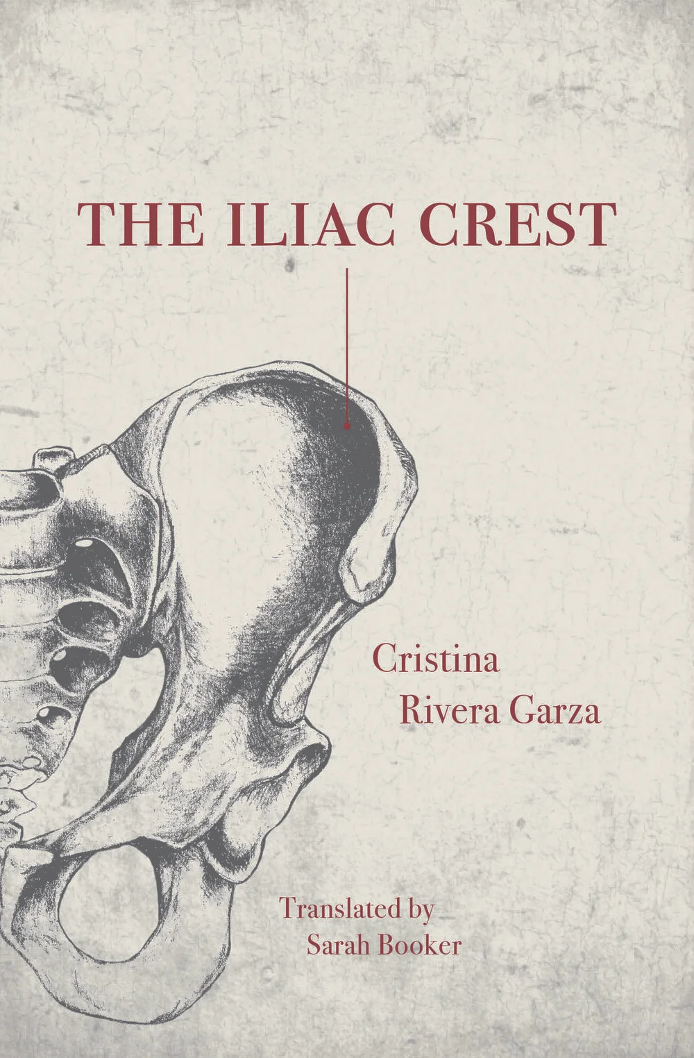 Disappearing Distinctions in Cristina Rivera Garza’s The Iliac Crest