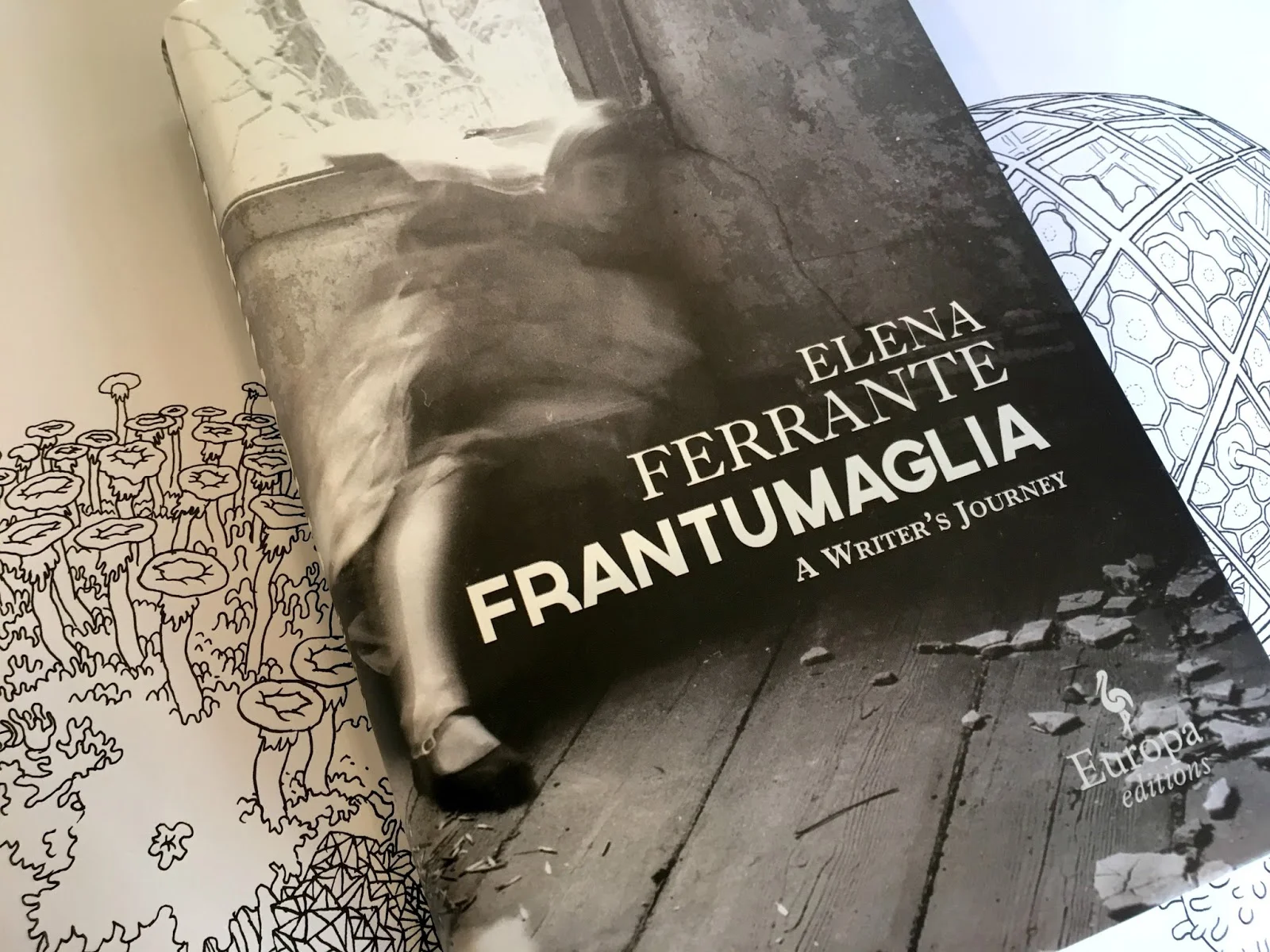 Elena Ferrante &amp; the Condition of a Woman’s Body: Ploughshares