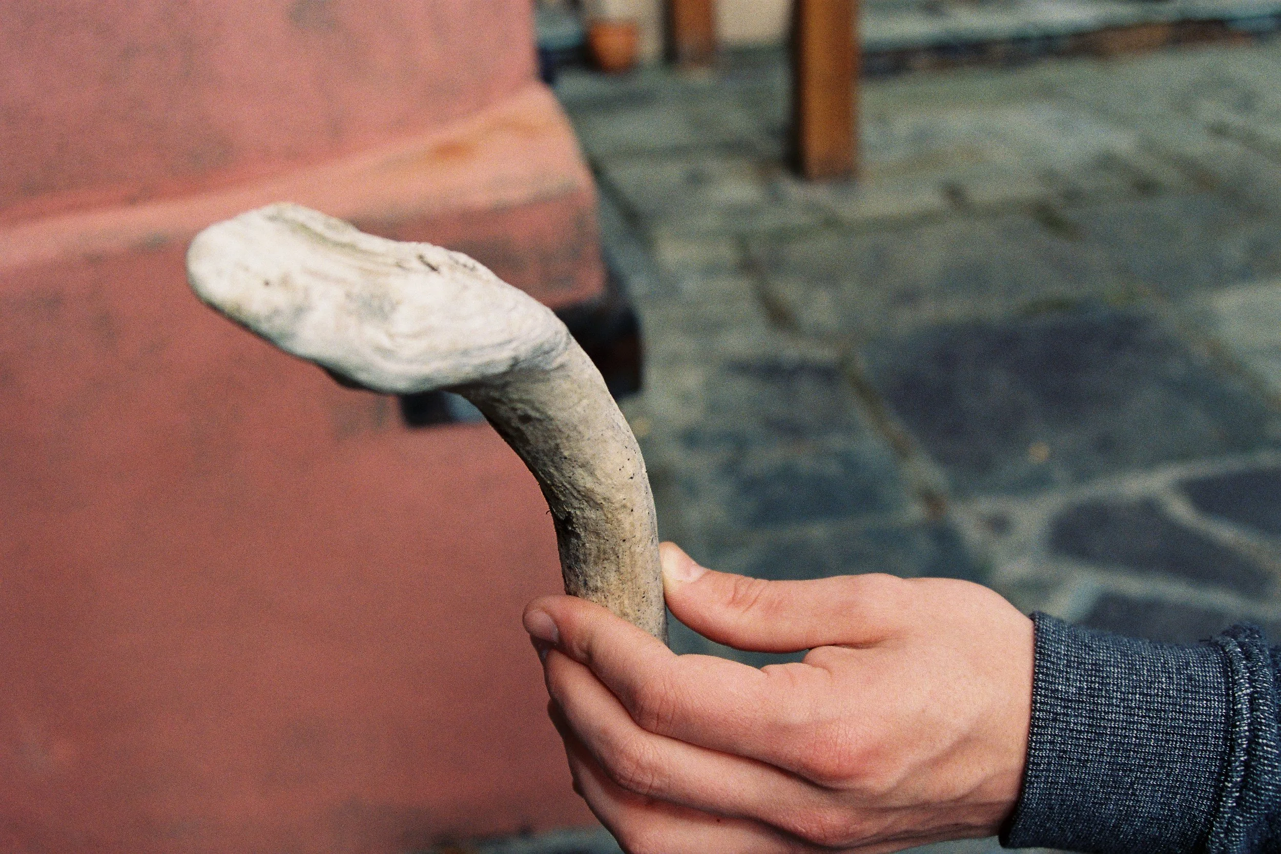 A Luminous Index: Erotic Phenomenology of a Stain @ Hobart