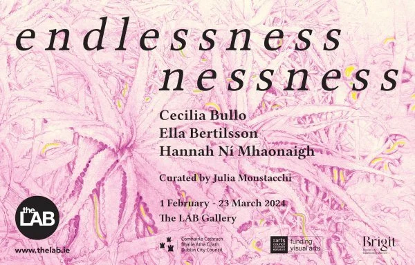 Endlessnessnessness @ The LAB Gallery