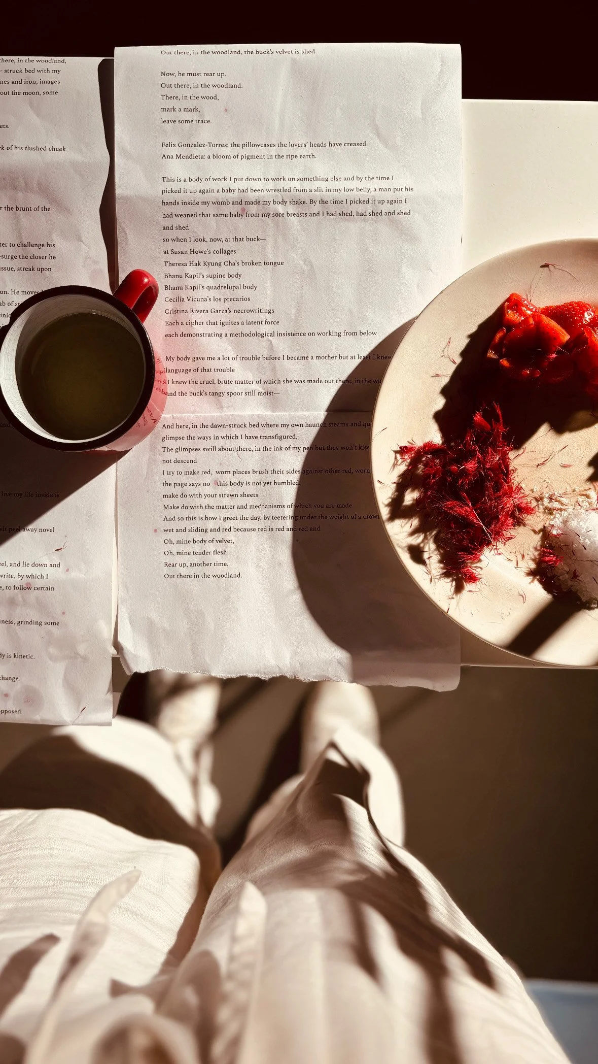 Oh, Body of Velvet @ Dirty Solutions Dry Run