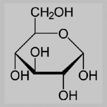 glucose molecule.png