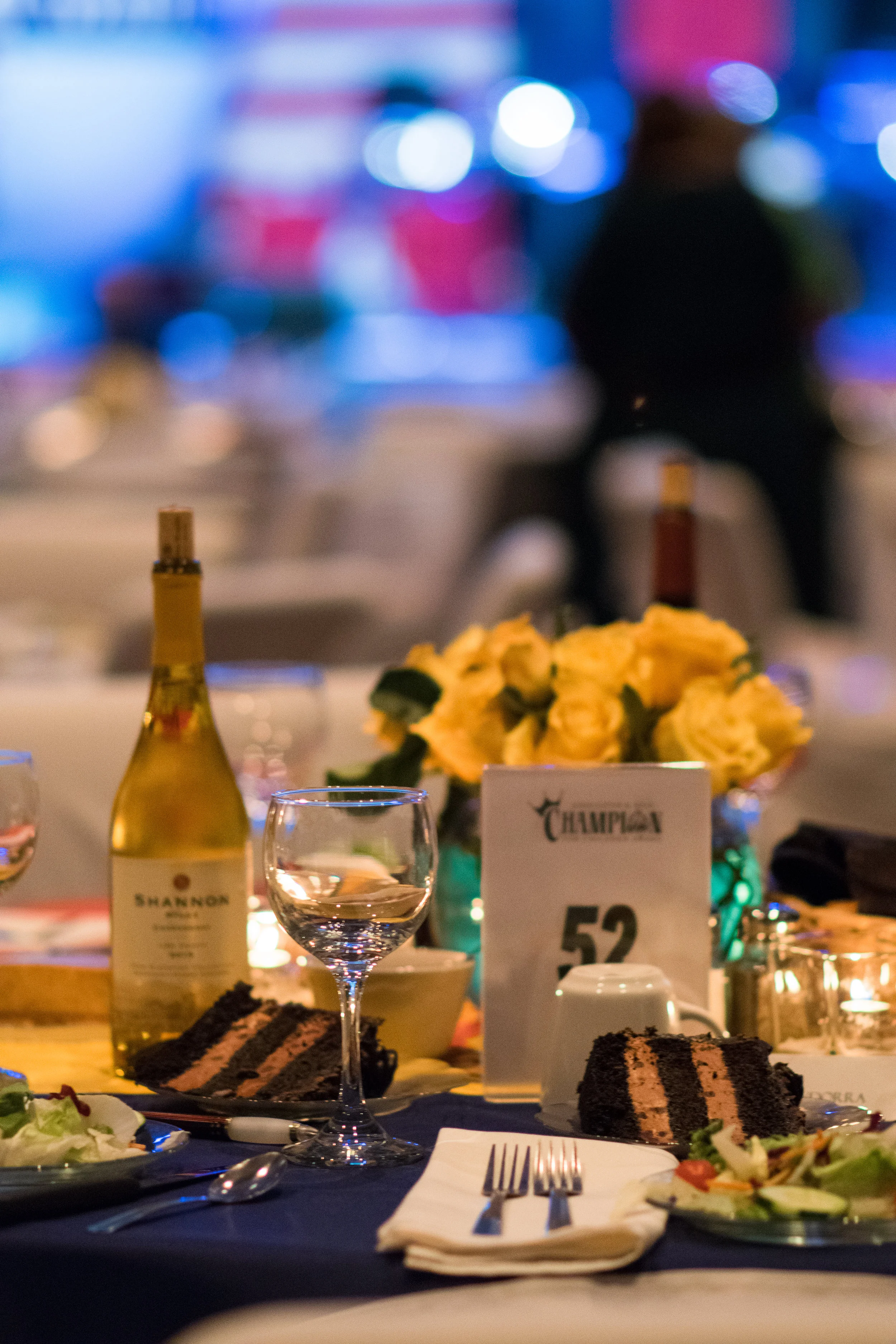 CFC GALA 2017 (117).jpg