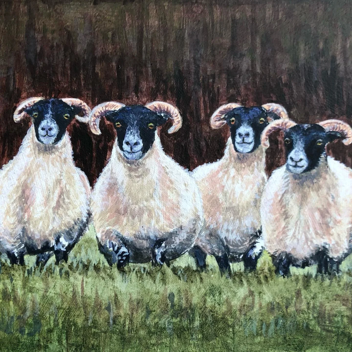 More funny sheep. A wee acrylic painting available at Frameworks Gallery Aberdeen&hellip;&hellip;. #painting #scottishartist #art #sheep #animalpaintings