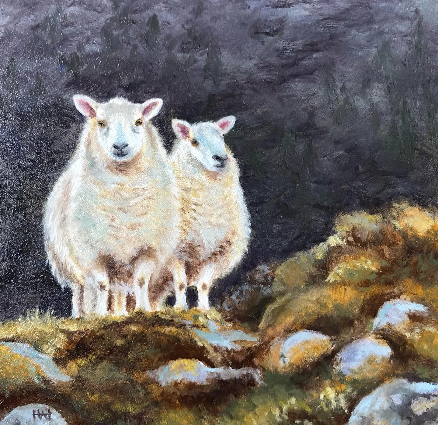 Sheep are such comical animals. I try to capture that aspect of them. This wee painting is available at Frameworks Gallery Aberdeen &hellip;&hellip;&hellip;. #painting #acrylicpainting #art #scottishartist #sheep