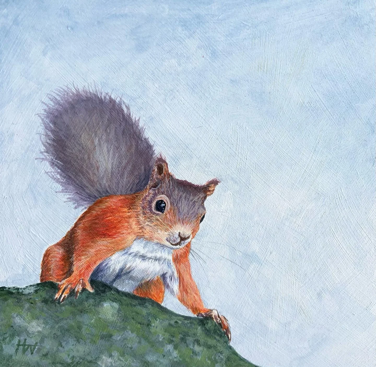 Red Squirrel - a favourite thankfully still doing well in Scotland. This wee painting is available at Frameworks Gallery Aberdeen&hellip;&hellip; #art #scottishartist #painting #redsquirrel #acrylicpainting