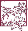 daylilyCHLCburgundy.png