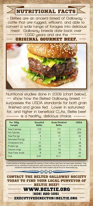 Beltie-Insert-BACK-FINAL.jpg