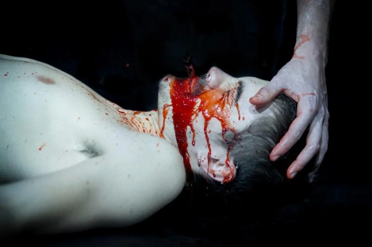 Vampire revolution 001.JPG