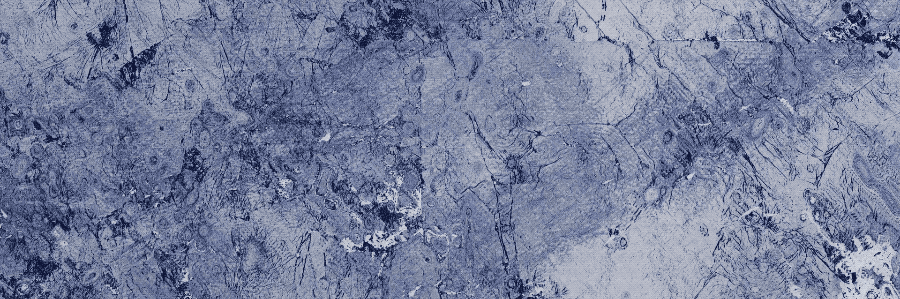 Vampire revolution 005_small.gif