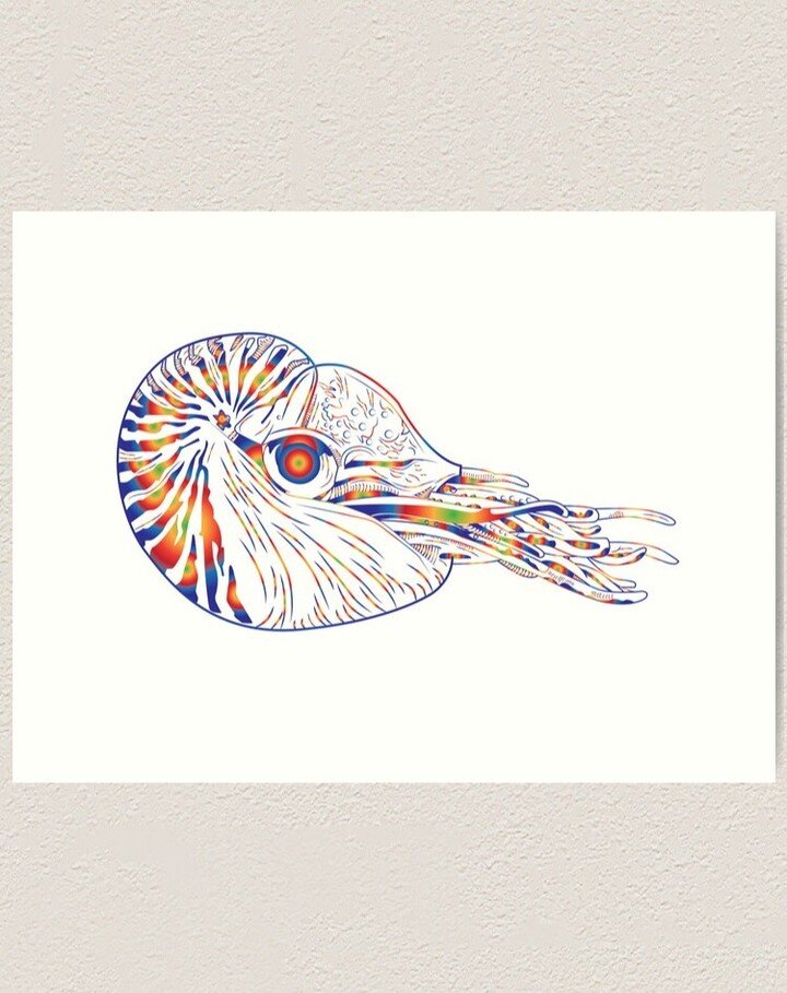 Introducing our new design, &quot;Wilson the Live Rainbow Nautilus,&quot; inspired by the movie &quot;Castaway&quot; -- because don't we all feel like that lately during this seemingly never-ending pandemic?

Wilson is for those who work from home, e