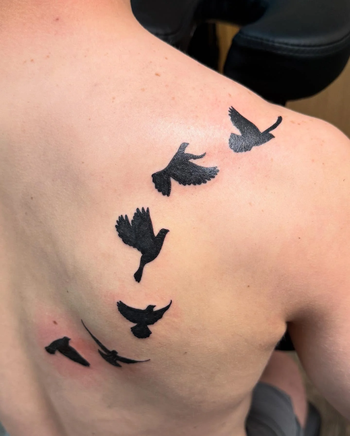 Whole bunch of pieces from this past weekend - thanks again to all!!
.
.
.
#tattoo #tattooartist #iowatattoo #cedarrapidstattoo #flashtattoo