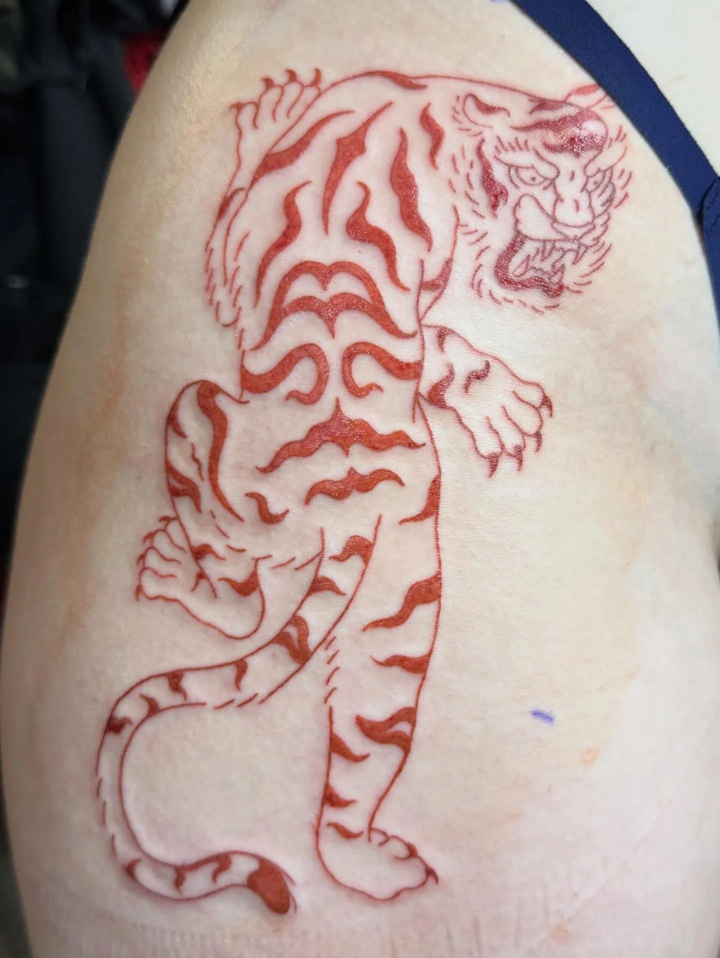 A few very sick pieces I had the honor doing the past week or so. Thanks folks!
.
.
.
#tattoo #iowatattooartist #cedarrapidstattoo #japanesetattoos #traditionaltattoos