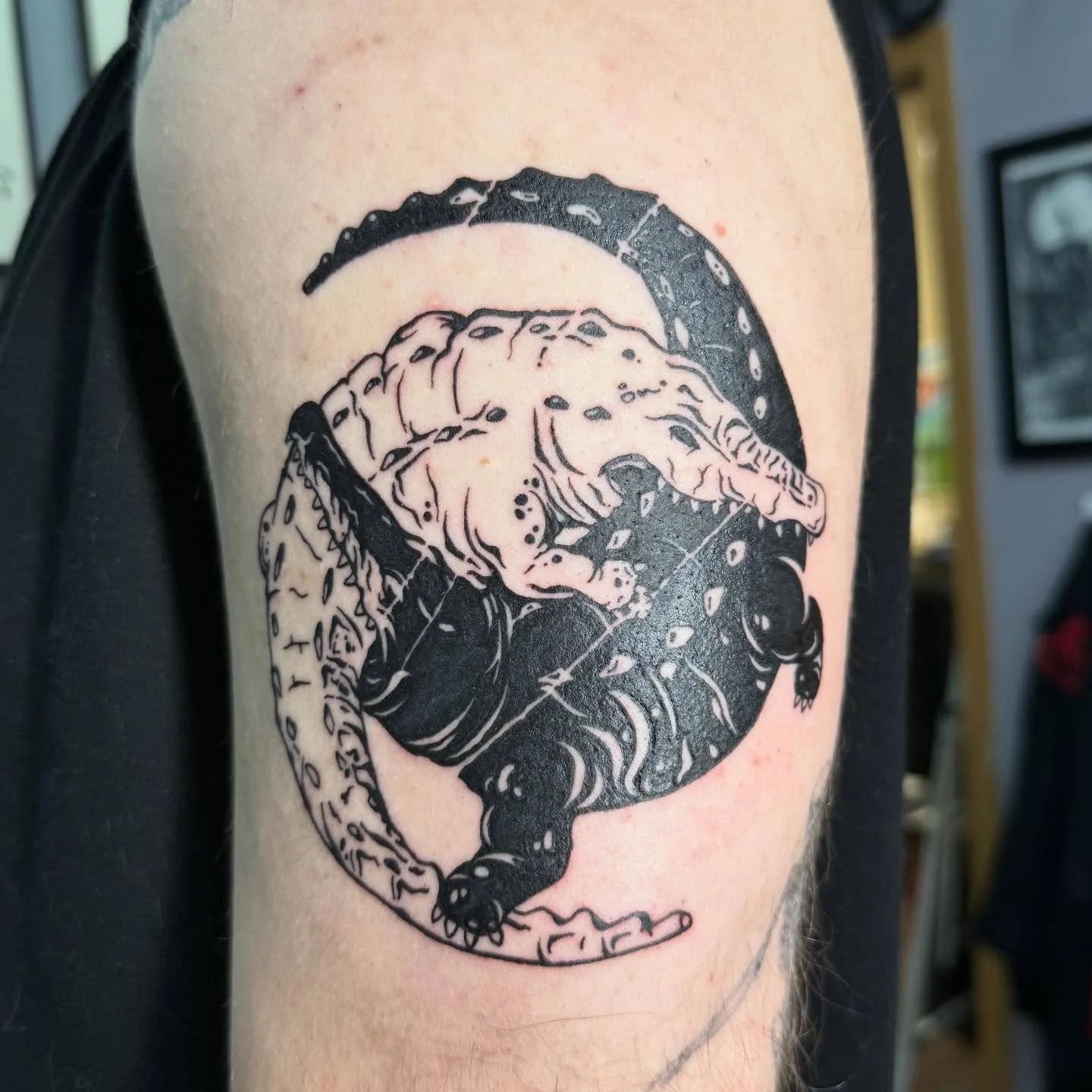 Even MORE tattoos from the past week! Some custom pieces, some freehand work, some flash, some of everything - big thank you to everyone once again!
.
.
.
#tattoo #iowatattooartist #cedarrapidstattoo #traditionaltattoos #freehandtattoos