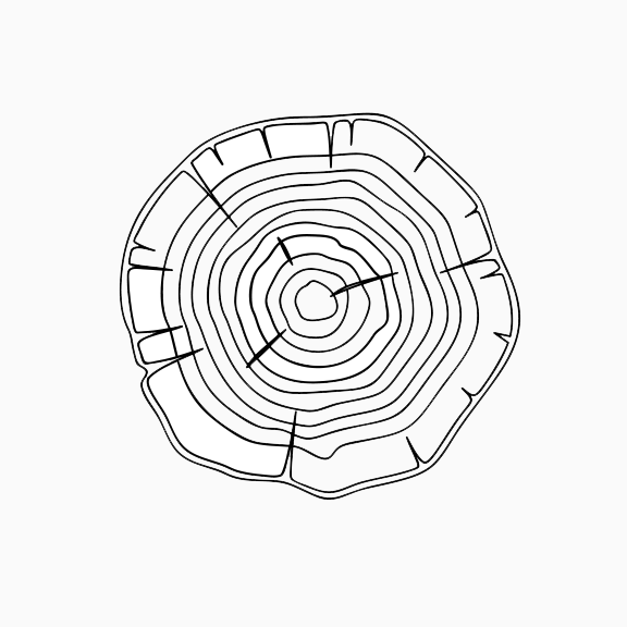 Wood Slice.png