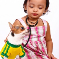 heal-your-sick-pet.jpg