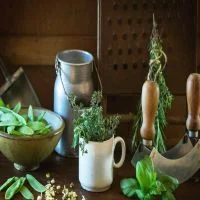 Fresh-Herbs.jpg