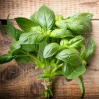Tulsi-tea.jpg