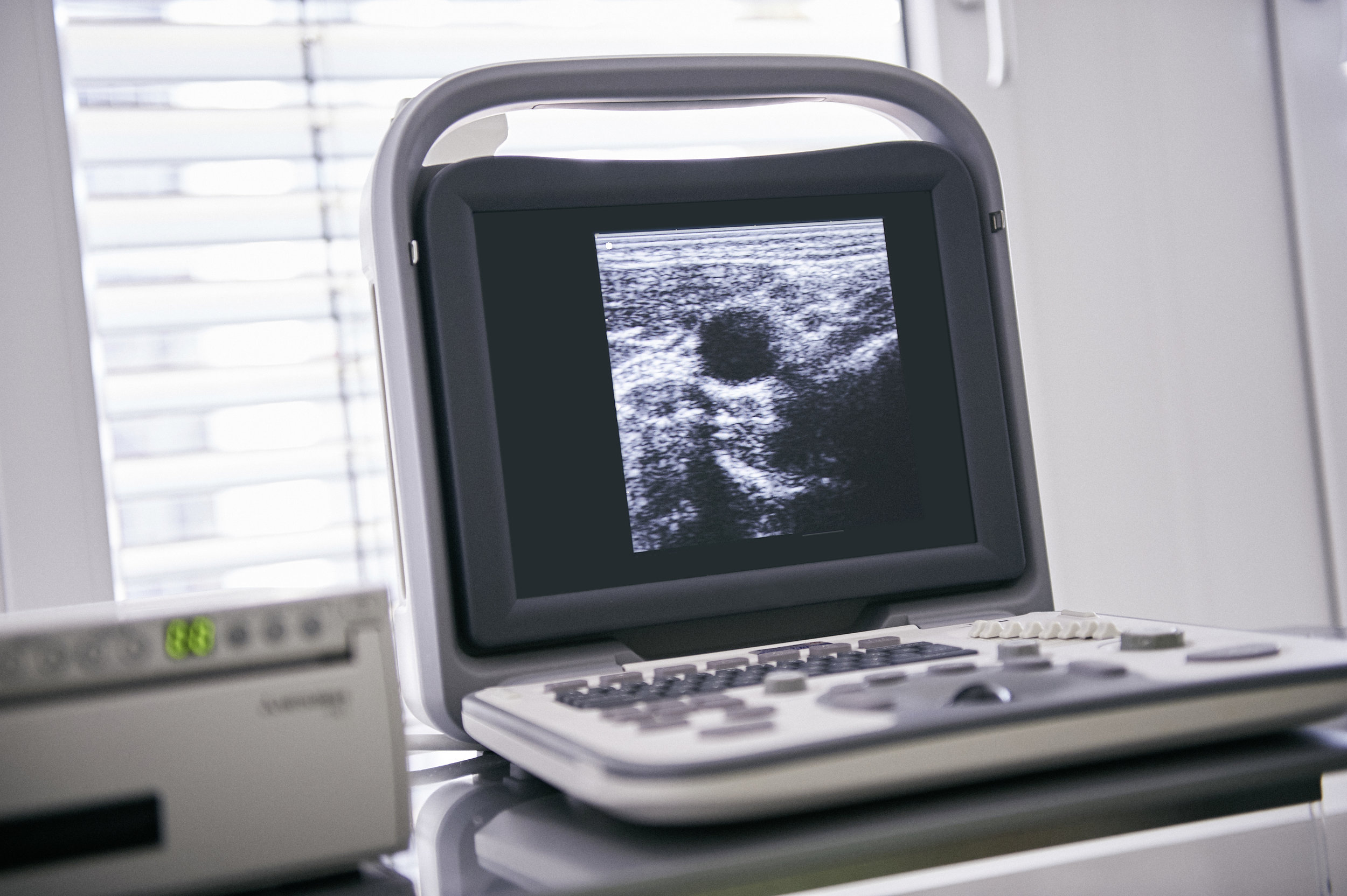 AdobeStock_198452211 (1).jpeg