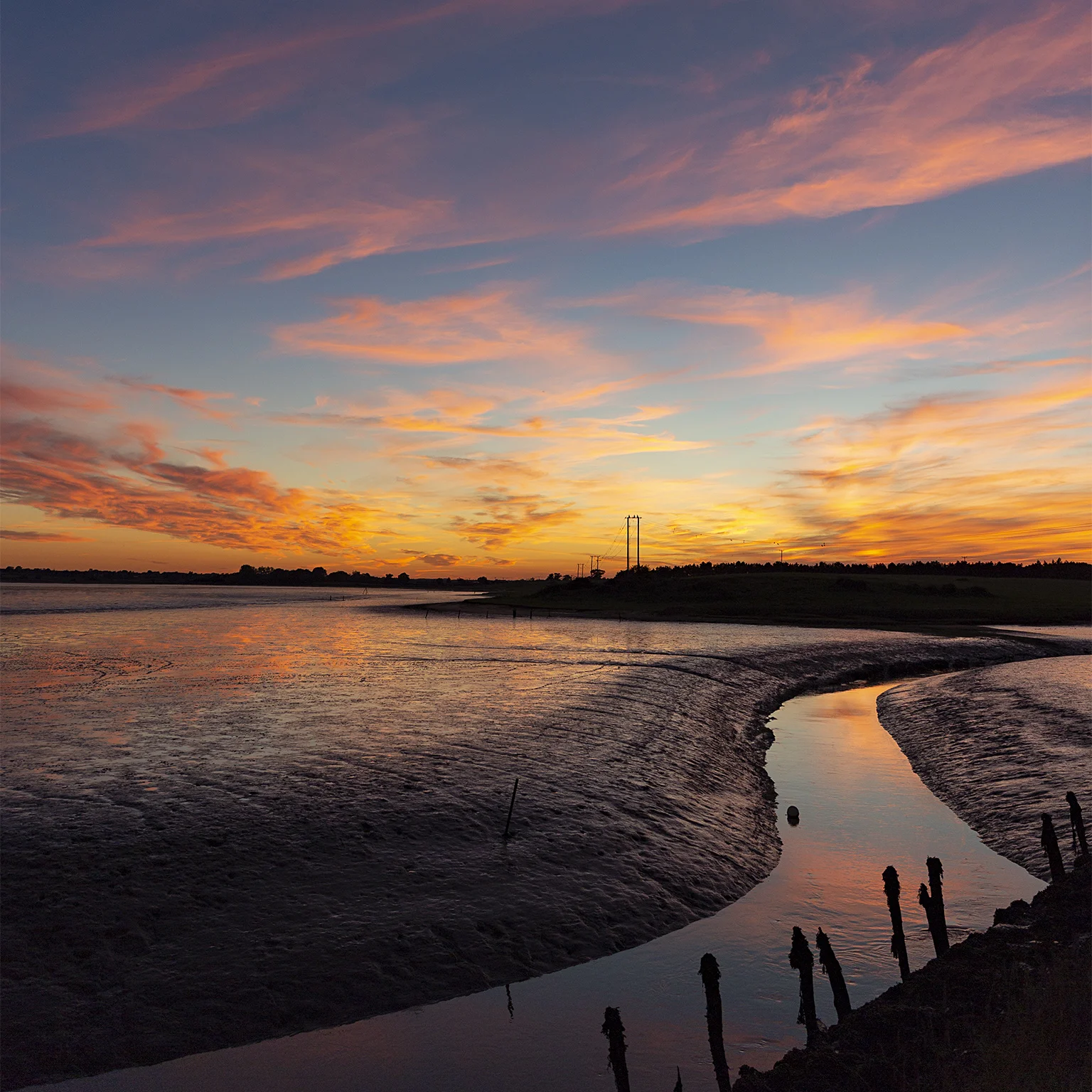 sunset hen 1.jpg