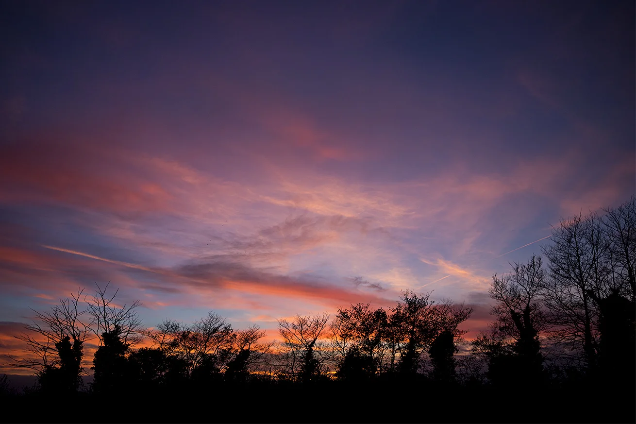 Sarah E Groves Suffolk sunset.jpg