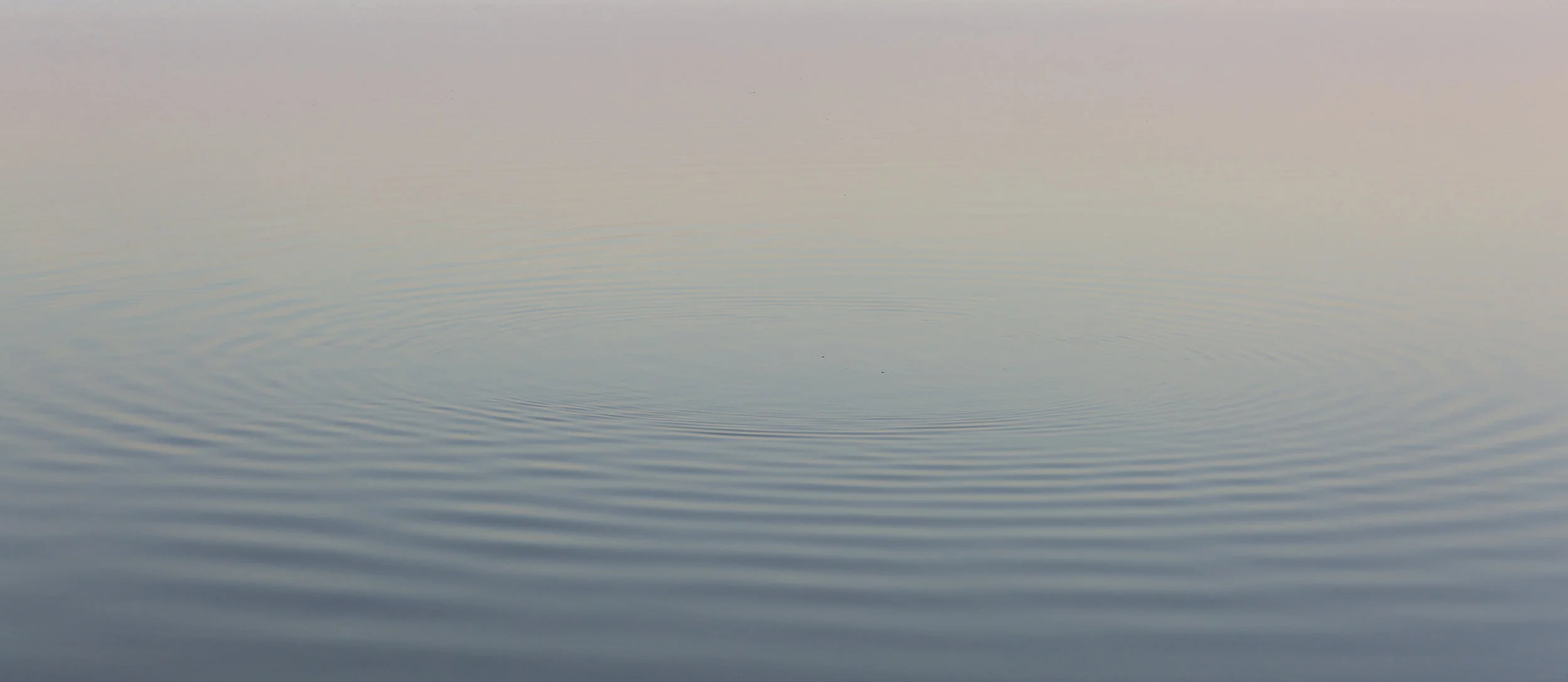 sarahegroves unseen fish on the blyth.jpg