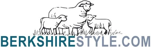 BS logo-ts-website-01 .jpg