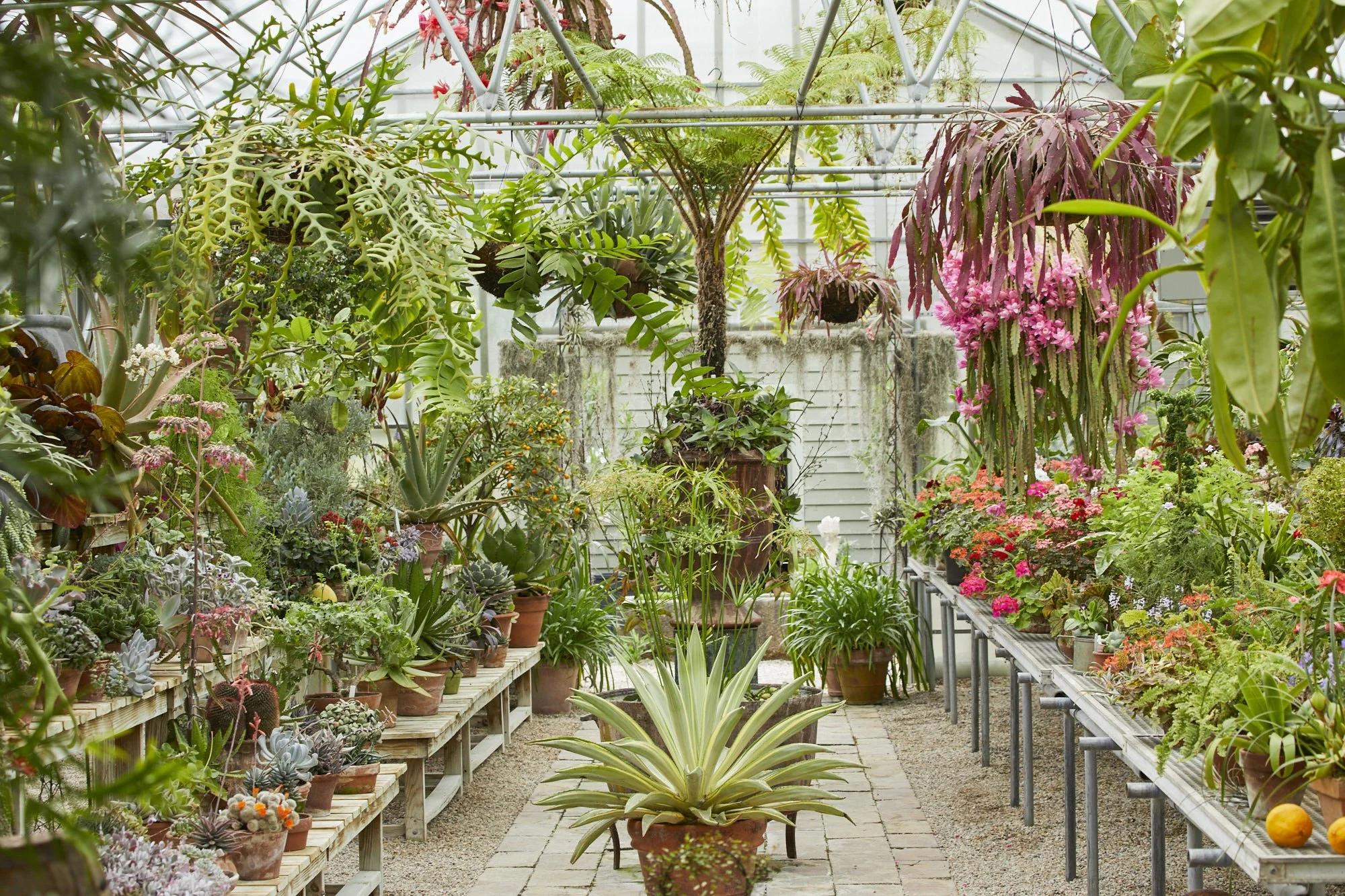 2336_BW_Greenhouse_006 (1).jpg