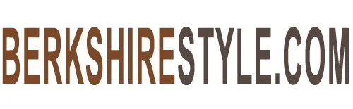 BS logo-ts-website-01-largetext 1-23-26.jpg