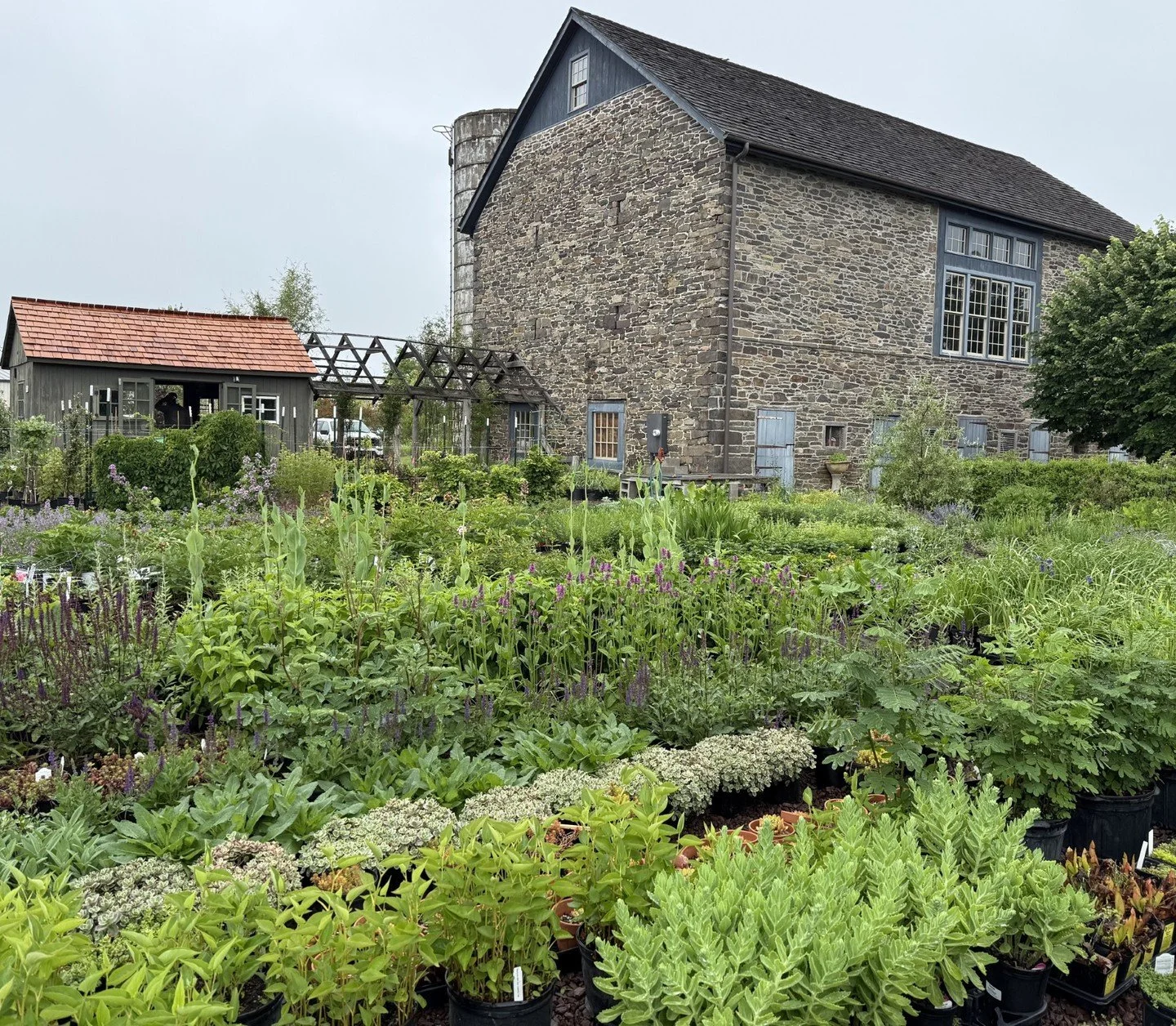 Linden Hill Nursery returns to Trade Secrets.

For nearly four decades, Jerry Fritz's Linden Hill Nursery has been a trusted resource for landscape professionals seeking exceptional, hard-to-find plants. Known for its carefully curated selection and 