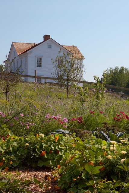 New Garden Tour: Haroldhurst Farm
The Gardens of Matthew Malin + Andrew Goetz

Available to view 10:00 AM &ndash; 5:00 PM
Estimated tour time: 30 minutes
$25 per ticket
Chatham Center (Valatie), NY

Capacity is limited. Tickets are first-come, first-