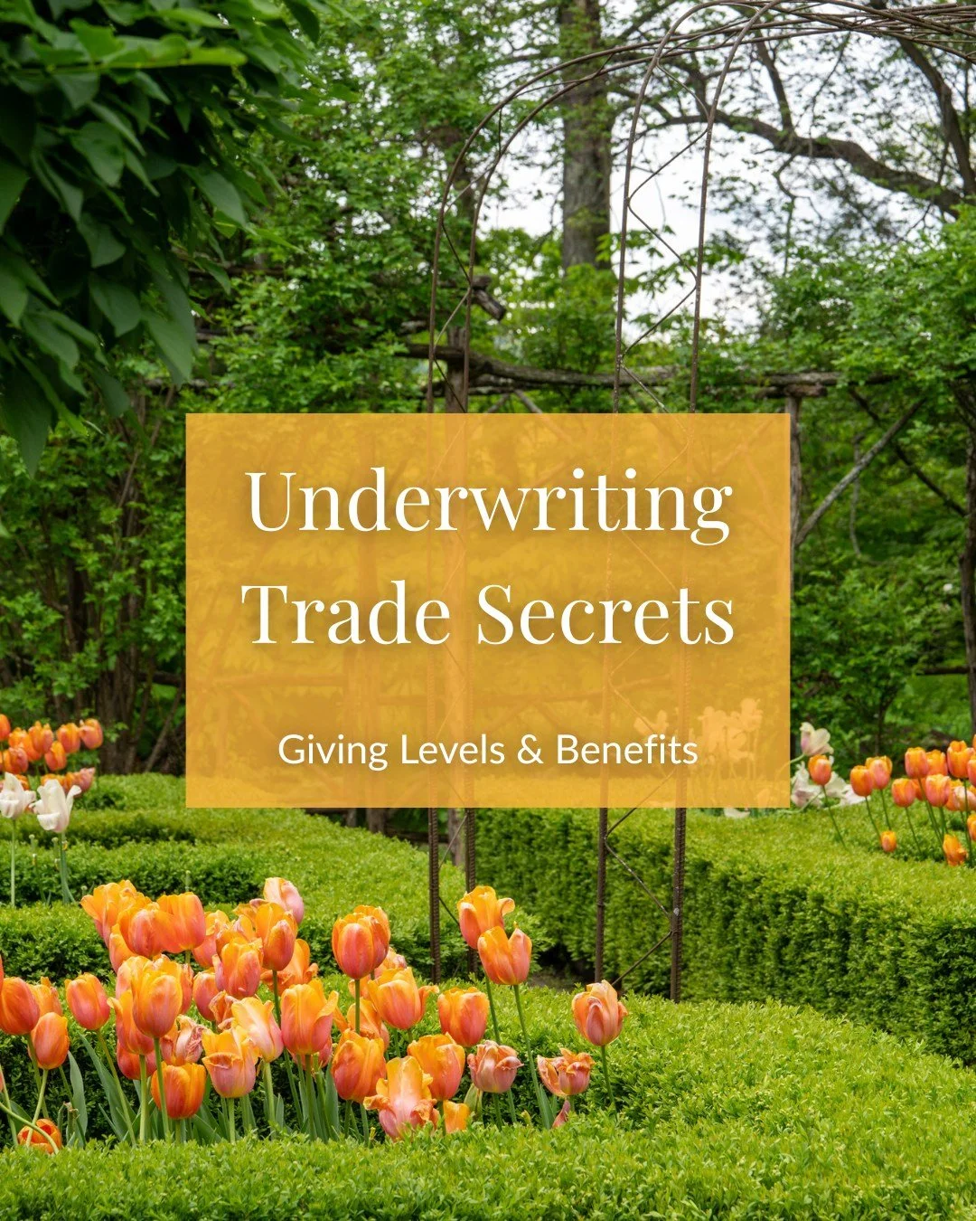 TODAY: Underwriters-only access opens to secure garden tour tickets online for the month of March.

Trade Secrets is Project SAGE&rsquo;s annual fundraiser, and underwriting makes it possible. 💜

Underwriters cover the cost of the event, ensuring th