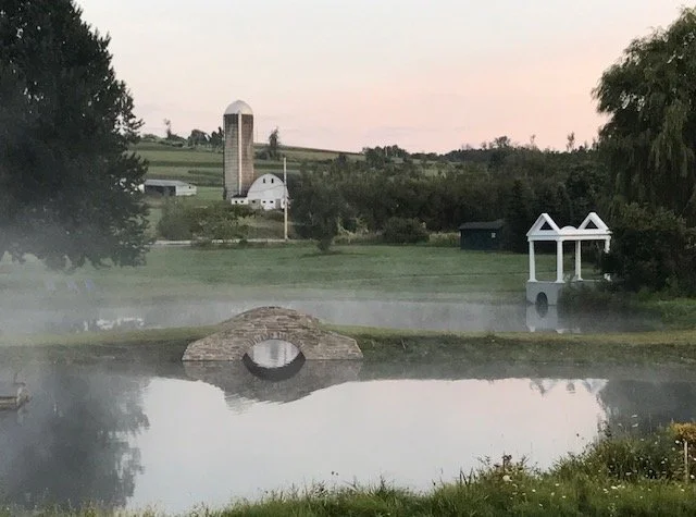 New Garden Tour: The Landscape Garden of Joan Feeney and Bruce Phillips

Available to view on the hour from 10:00 AM &ndash; 3:00 PM
Estimated tour time: 30-45 minutes
$25 per ticket
Millerton, NY

Capacity is limited. Tickets are first-come, first-s