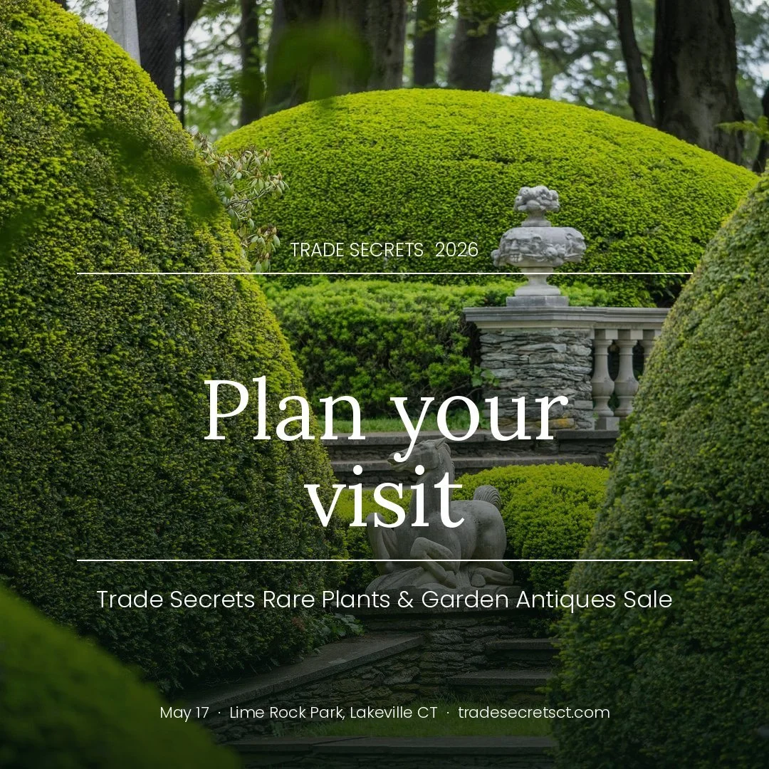 Headed to the Trade Secrets Rare Plants &amp; Garden Antiques Sale on Sunday, May 17? 

Here's everything you need to know to plan your visit to this beloved event at Lime Rock Park in Lakeville, CT.

Event Hours: 7:30 AM &ndash; 2:00 PM
&ndash; Unde
