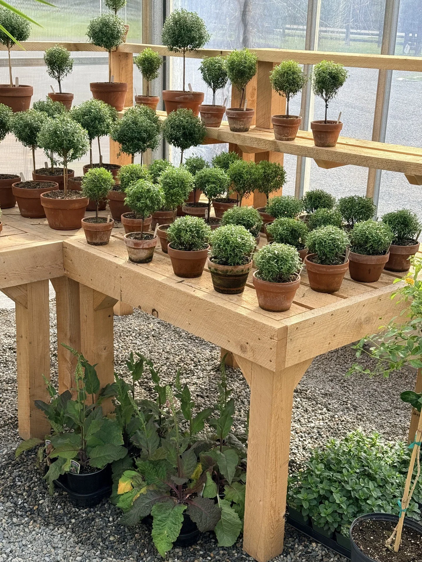 Garden at Creel and Gow is coming to Trade Secrets!

@gardenatcreelandgow brings a collector's eye and a global reach to everything they do. Curated garden antiques, distinctive objects, rare plants, and seasonal cut flowers that feel both timeless a