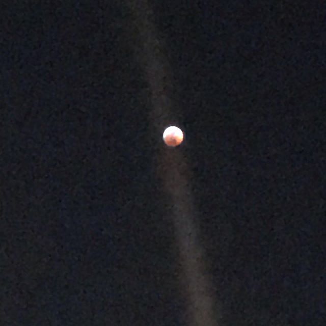 Lunar eclipse was amazing :)
#lunareclipse #bloodwolfmoon #astronomykids #sciencekids