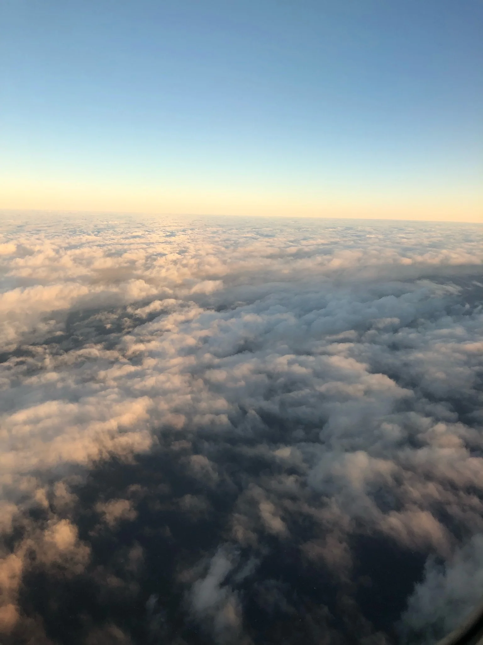 Just putting it out there...